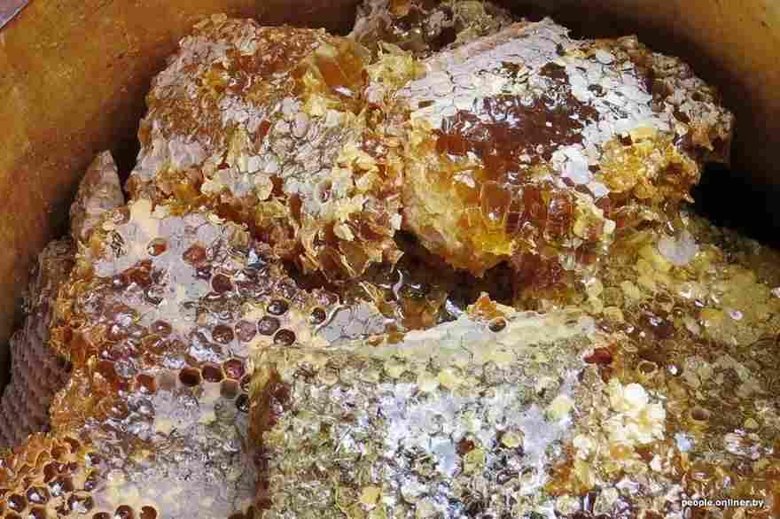 عسل وحشی نپال با برداشت فصلی از مناطق کوهستانی بکر